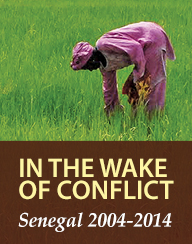 In the Wake of Conflict